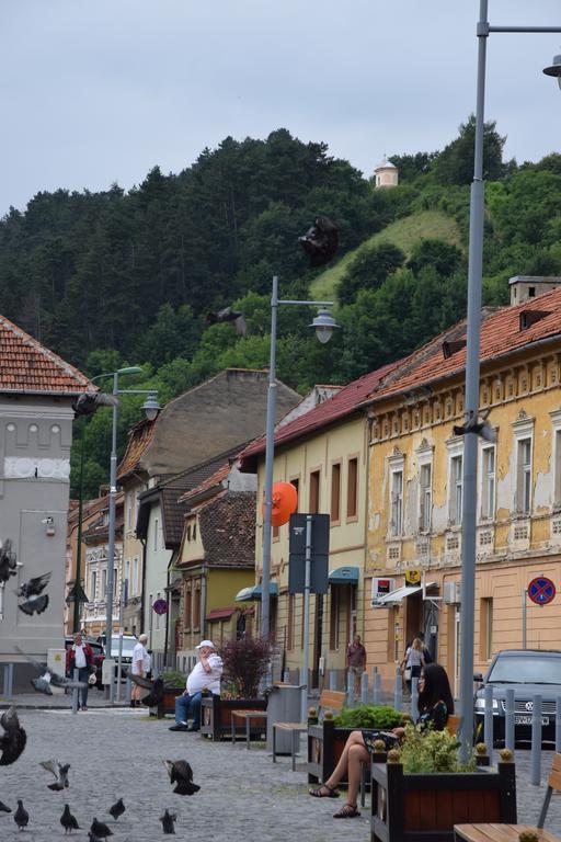 Haydn Vintage Apartment Brasov Exterior photo