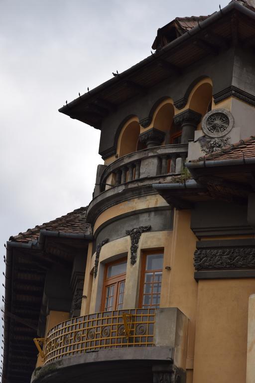 Haydn Vintage Apartment Brasov Exterior photo